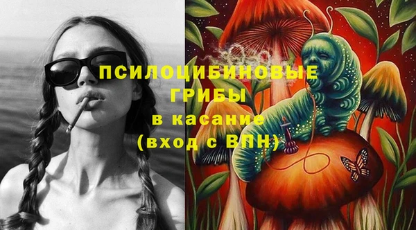 прущая мука Алзамай