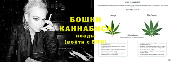 PSILOCYBIN Алексеевка