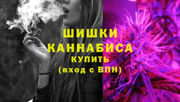 PSILOCYBIN Алексеевка